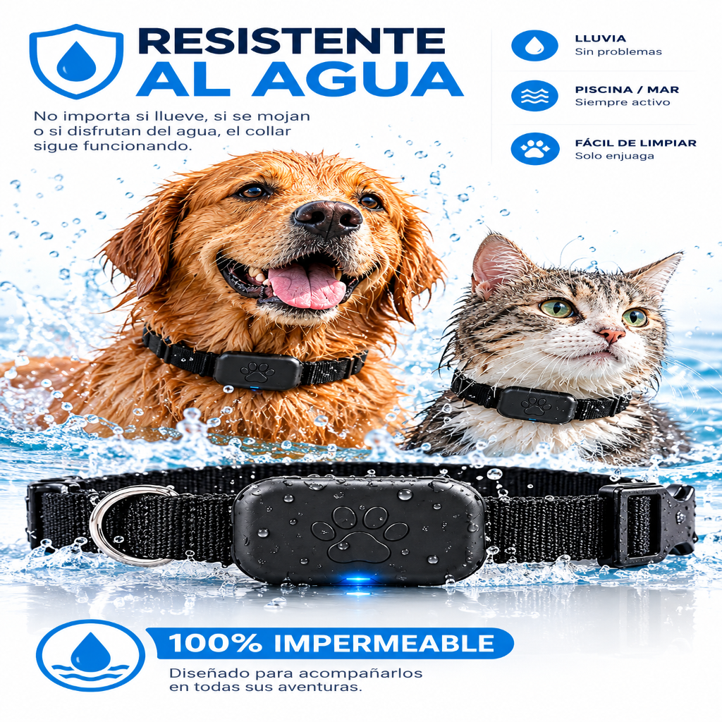 Perro y gato mojados con el collar localizador Bluetooth puesto