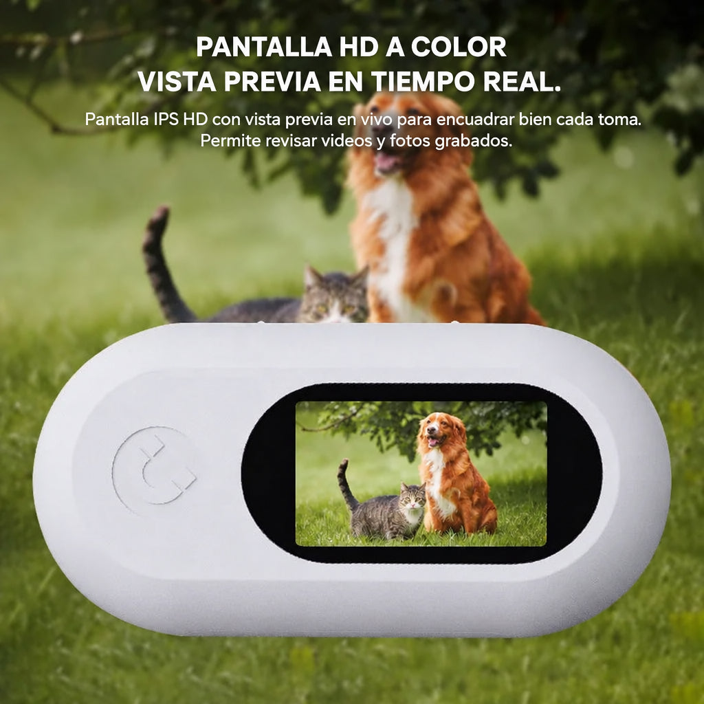 Cámara para collar de mascotas con pantalla HD a color y vista previa en tiempo real