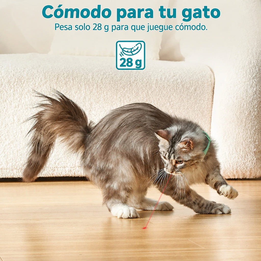Gato jugando con el collar láser interactivo: pesa solo 28 g para que juegue cómodo