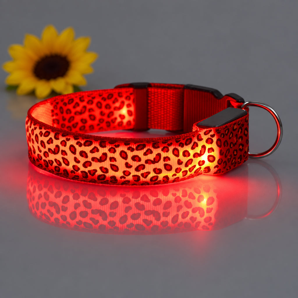 Collar LED para perro con luz roja encendida, visible de noche en los paseos