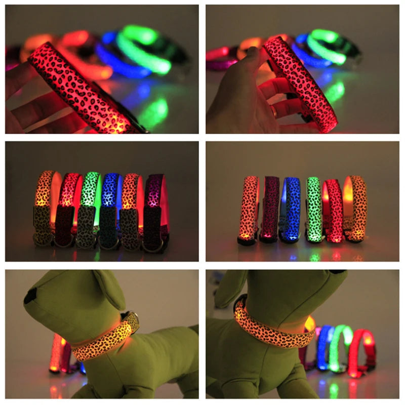 Collar LED para perro y gato con distintos modos de luz, puesto en el cuello de una mascota