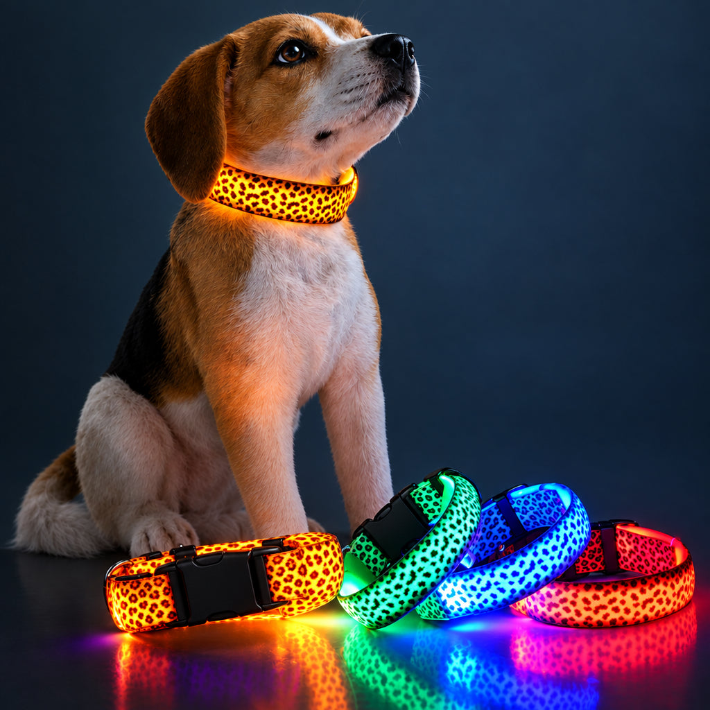 Collar LED recargable por USB para perro y gato, encendido de noche en varios colores