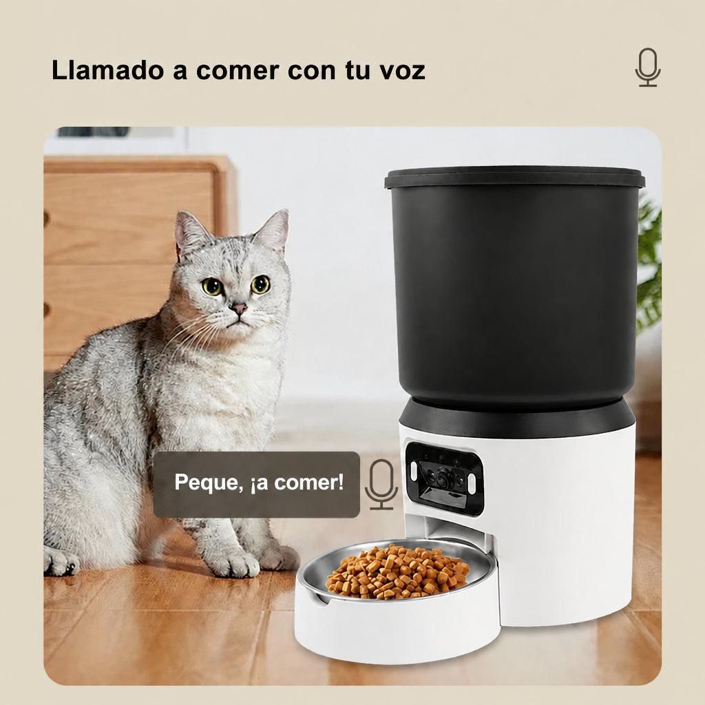 Llama a tu gato a comer con tu voz desde el comedero automático con cámara