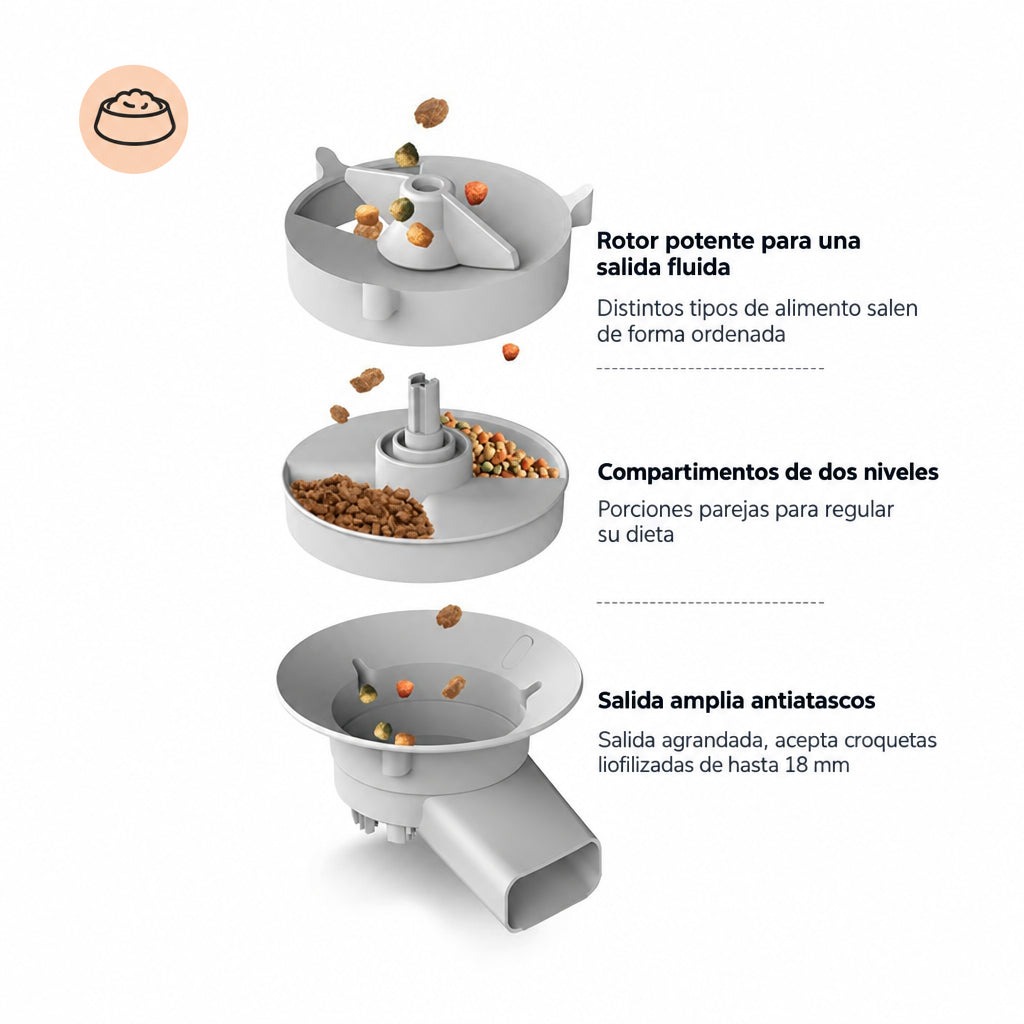Interior del comedero automático 5 L: rotor, compartimentos de dos niveles y salida antiatascos
