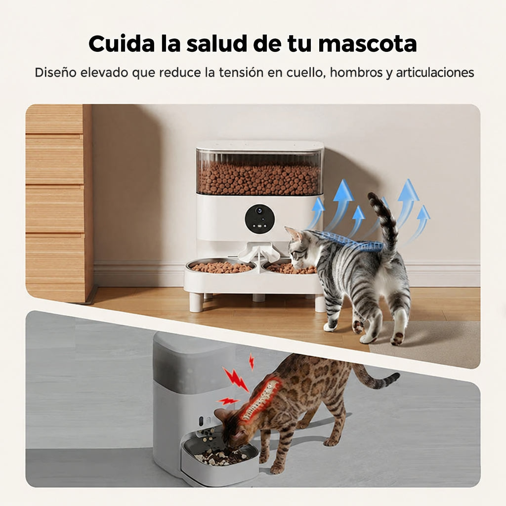 Comedero elevado para gatos que reduce la tensión en cuello, hombros y articulaciones
