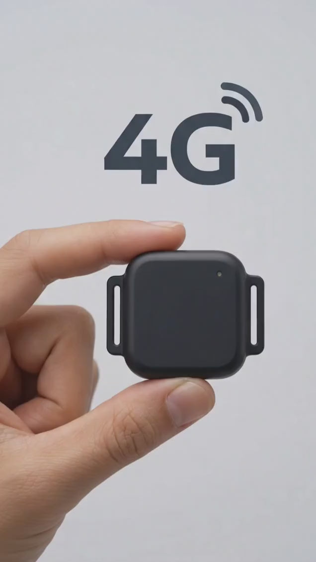 Rastreador GPS 4G Multiuso – Mascotas, Vehículos y Personas – Tiempo Real